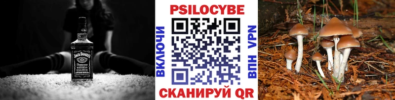 Галлюциногенные грибы MAGIC MUSHROOMS  blacksprut сайт  Черепаново 